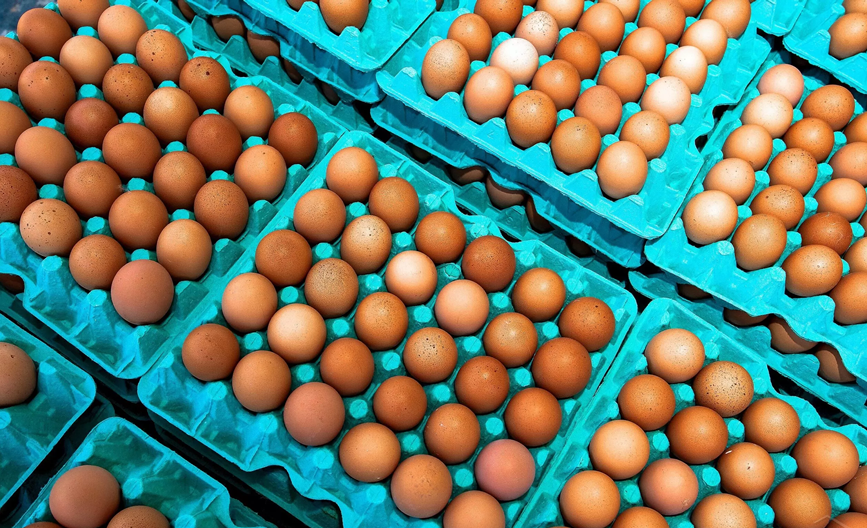 霍尔木兹海峡的关闭令拉福斯的鸡蛋生产商感到担忧